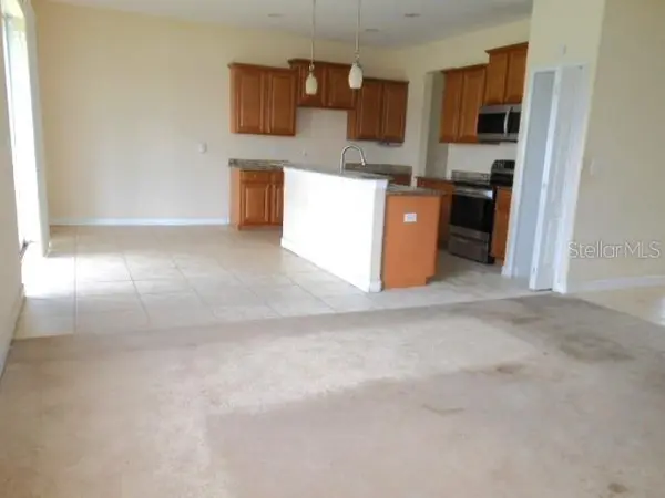 10524 SHADY PRESERVE DR, Riverview, FL 33579