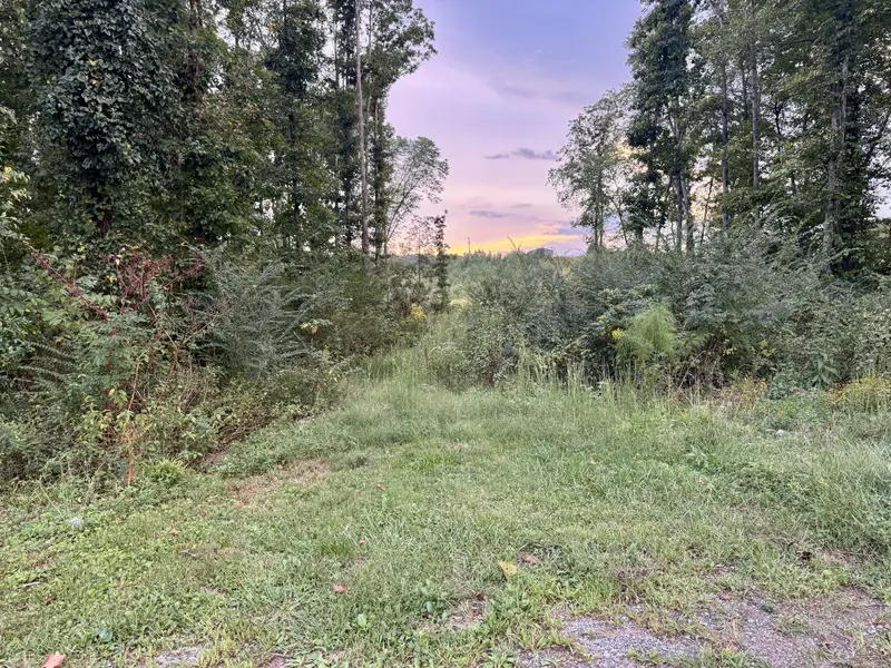 802 Arwine Rd, Decatur, TN 37322