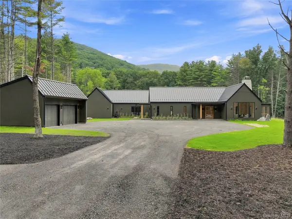 1003 Coldbrook RD, Boiceville, NY 12412