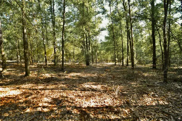 00 SW 40TH AVE, Jasper, FL 32052