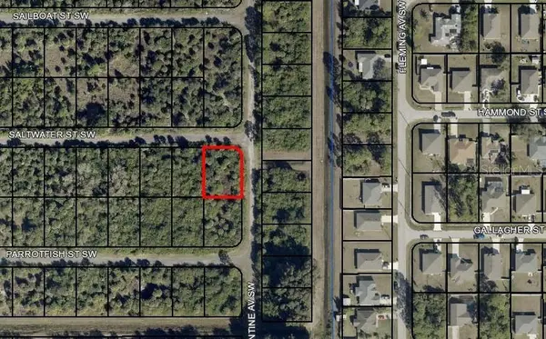 SALWATER ST SW, Palm Bay, FL 32908