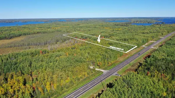 TBD Parcel 4 Hwy 115, Tower, MN 55790