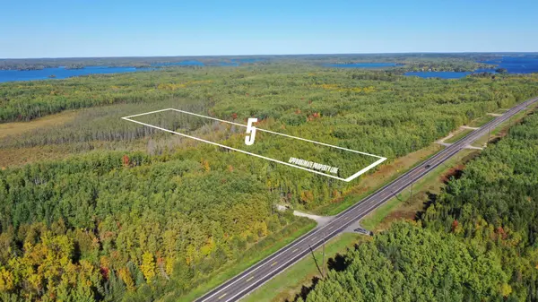 TBD Parcel 5 Hwy 115, Tower, MN 55790