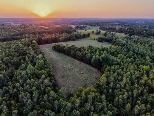 0 Dixon Rd, Iron City, TN 38463