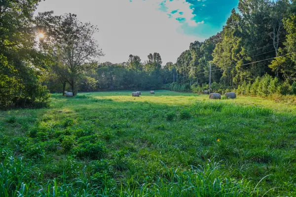 0 Dixon Rd, Iron City, TN 38463