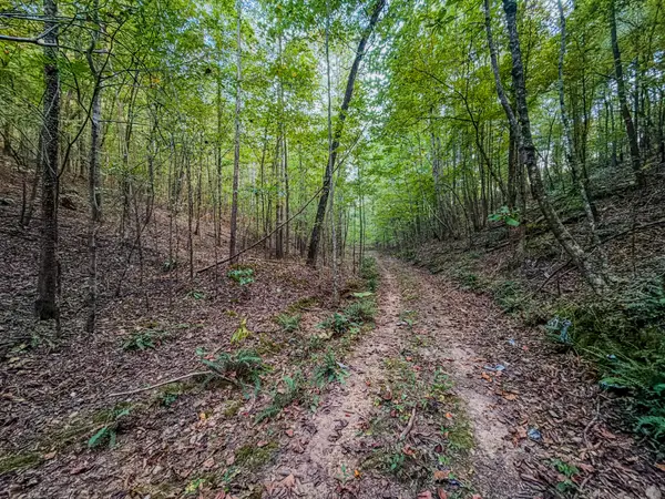 0 Dixon Rd, Iron City, TN 38463