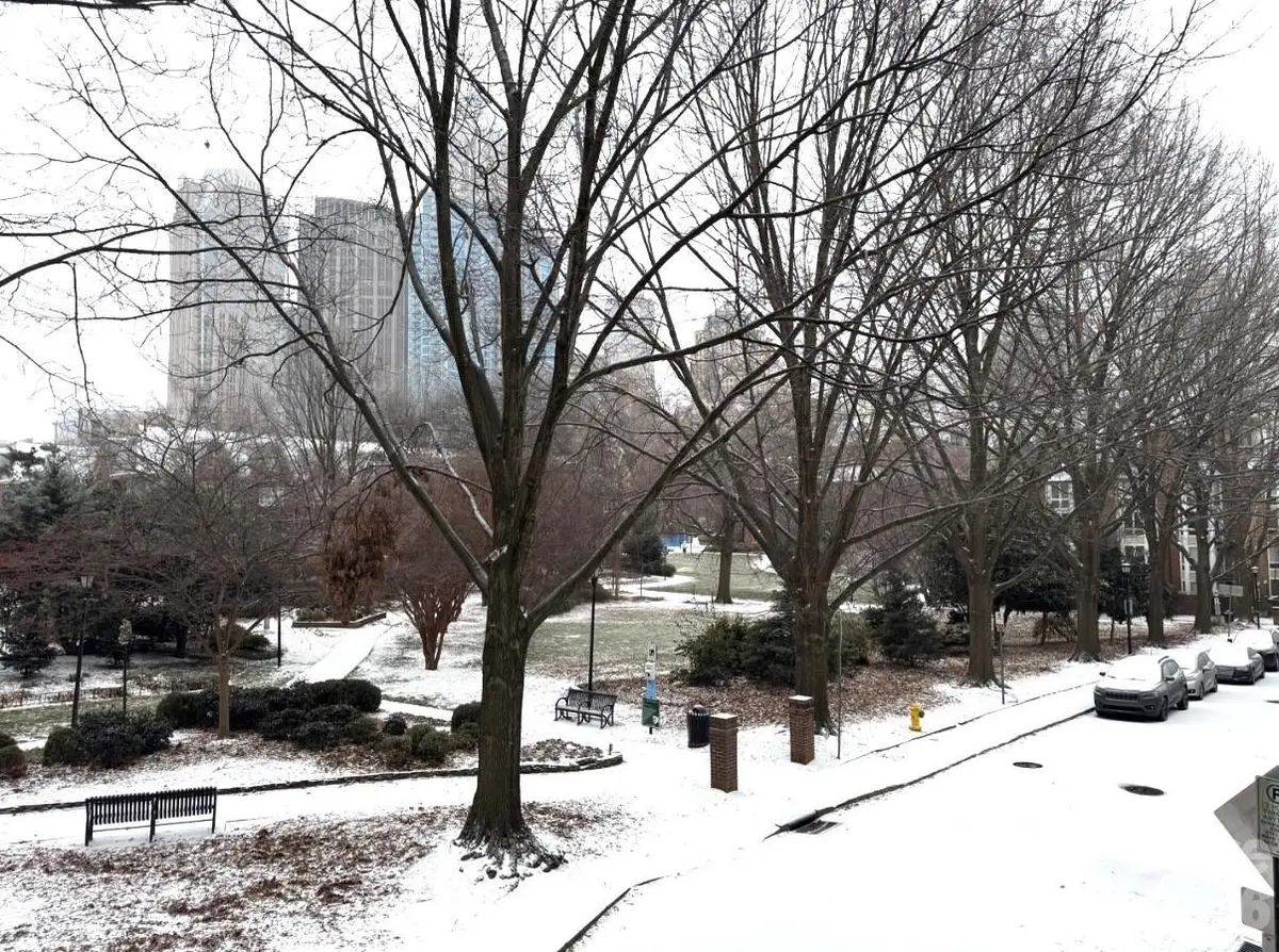 417 W 8th ST, Charlotte, NC 28202