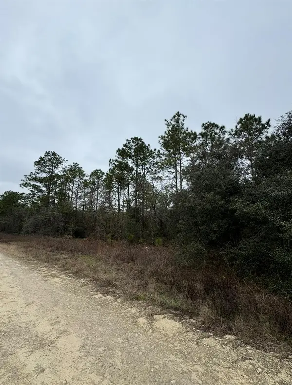 TBD SW 91ST LN, Dunnellon, FL 34432