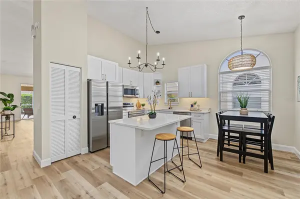 3876 DARSTON ST, Palm Harbor, FL 34685