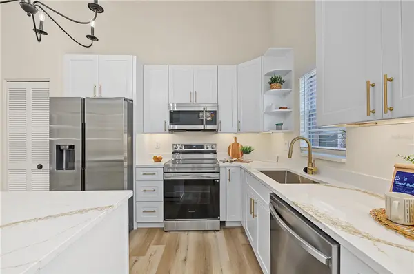 3876 DARSTON ST, Palm Harbor, FL 34685