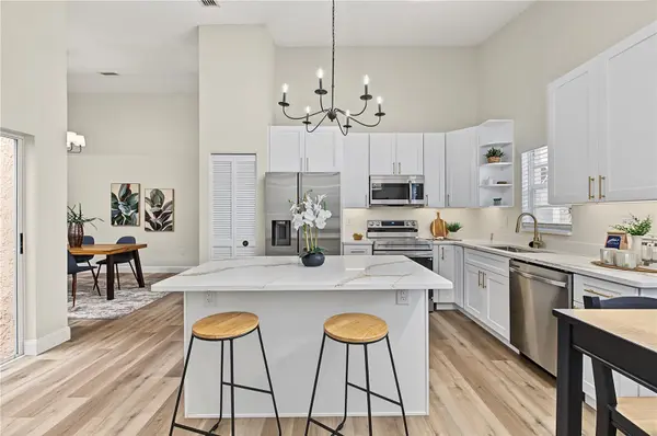 3876 DARSTON ST, Palm Harbor, FL 34685