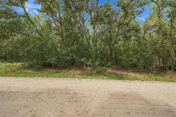 ELAINE DR, Webster, FL 33597