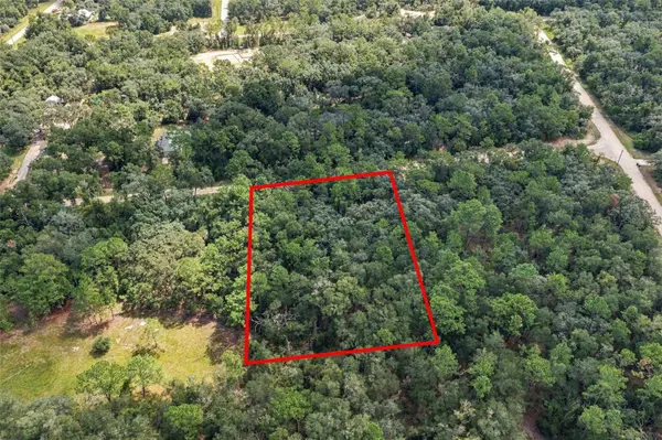 ELAINE DR, Webster, FL 33597