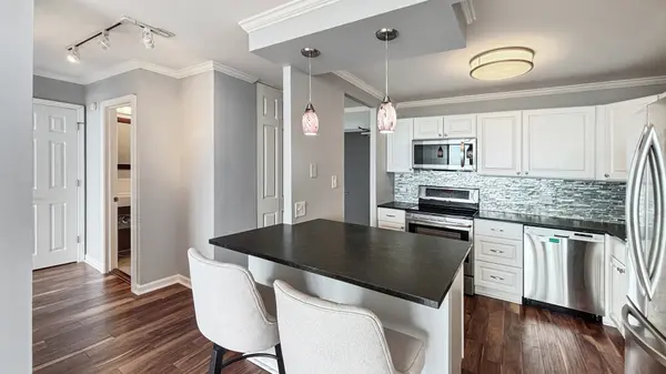 3930 N Pine Grove AVE #3009, Chicago, IL 60613