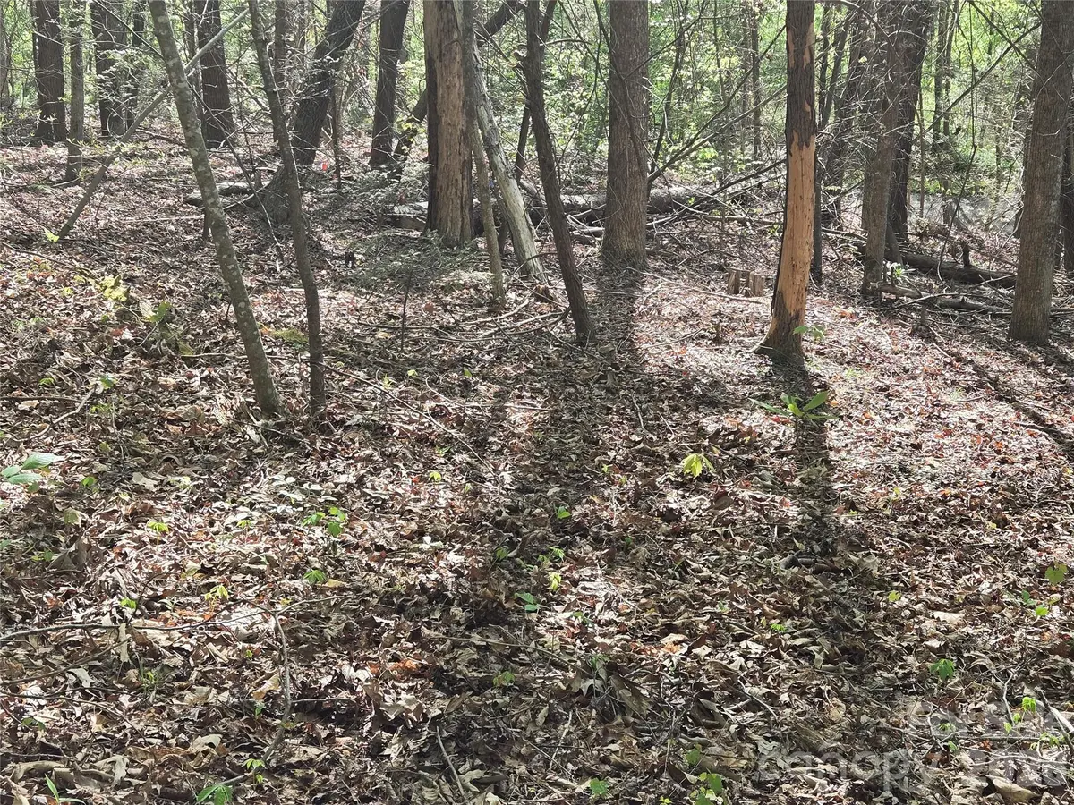 Lot 172 West Lake DR N, Lake Lure, NC 28746