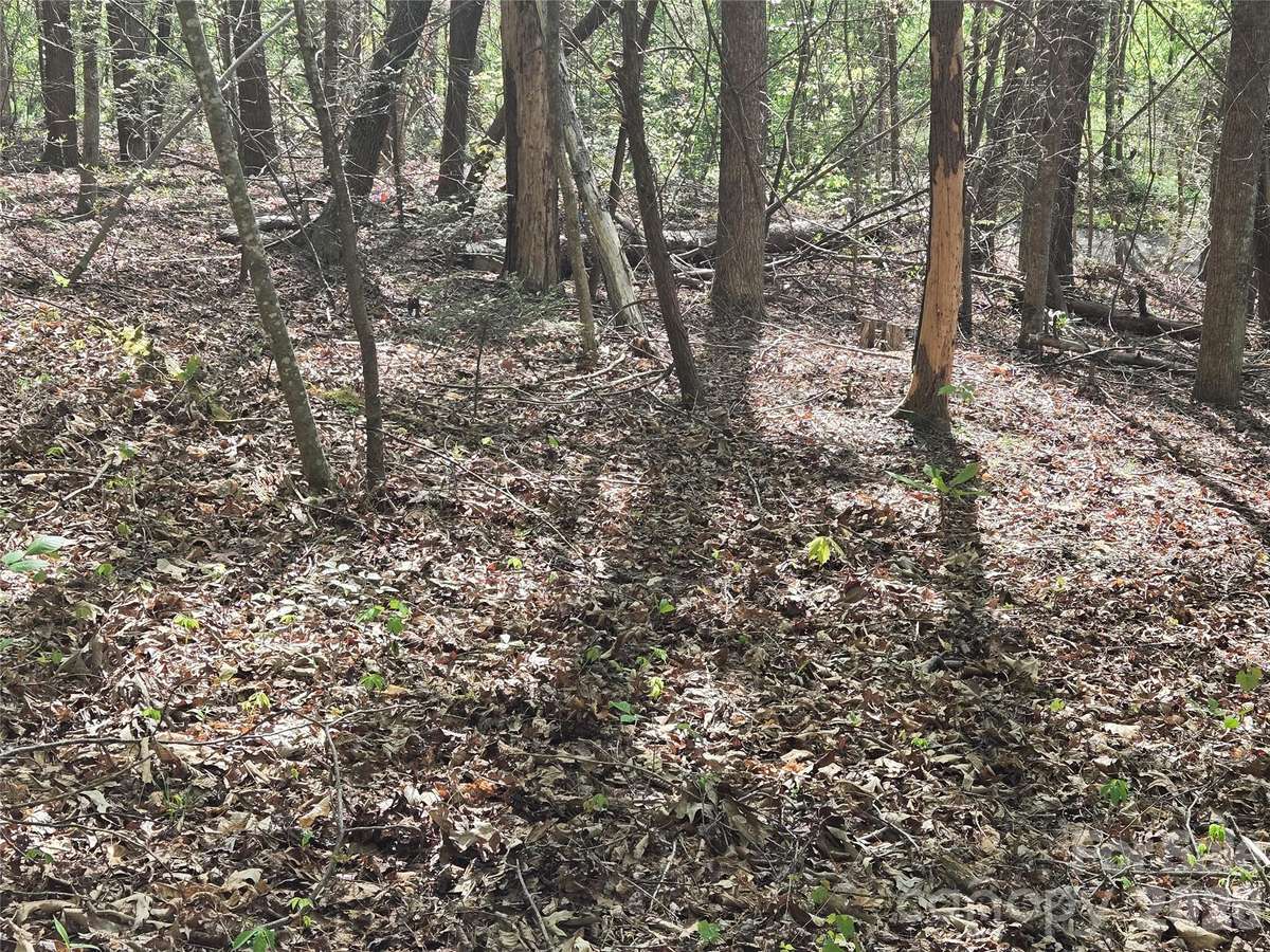 Lot 172 West Lake DR N, Lake Lure, NC 28746