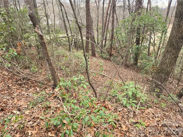 Lot 28 Roundabout RD, Lake Lure, NC 28746