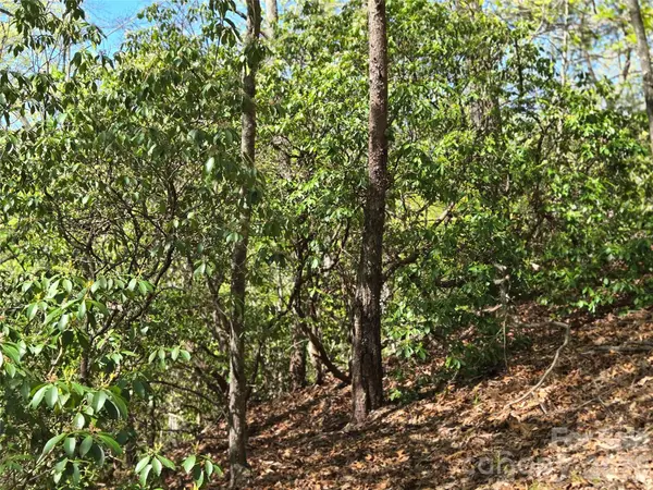 Lot 64 &  65 Walnut LN, Lake Lure, NC 28746