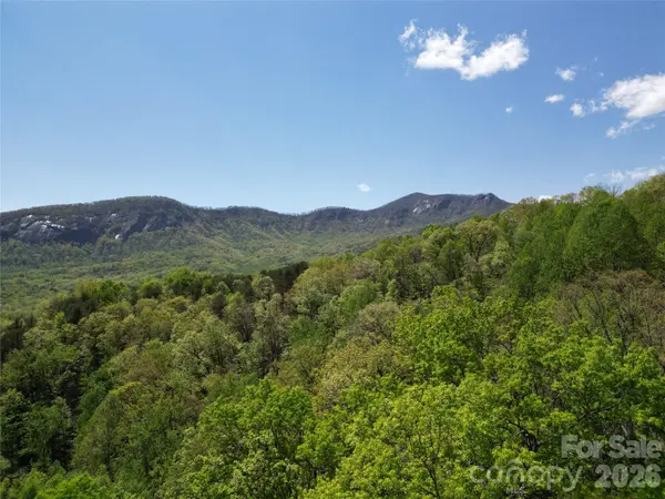 Lot 114 Summit CT, Lake Lure, NC 28746