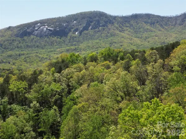 Lot 114 Summit CT, Lake Lure, NC 28746