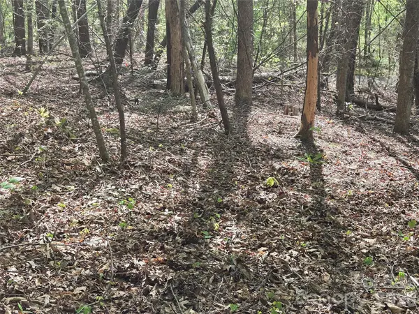 Lot 172 West Lake DR N, Lake Lure, NC 28746