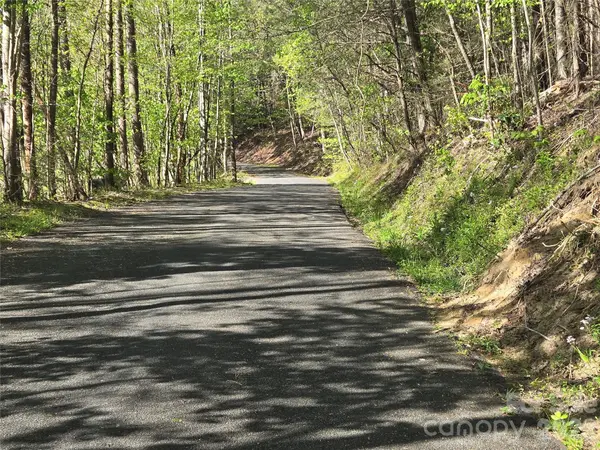 Lot 172 West Lake DR N, Lake Lure, NC 28746