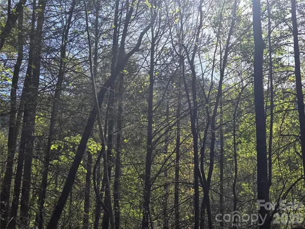 Lot 172 West Lake DR N, Lake Lure, NC 28746