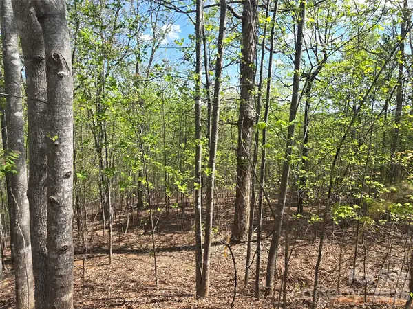 Lot 13 Back Hollow DR, Lake Lure, NC 28746