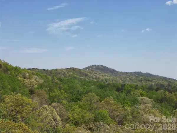 Lot 13 Back Hollow DR, Lake Lure, NC 28746