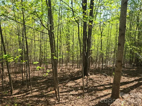 Lot 14 Back Hollow DR, Lake Lure, NC 28746