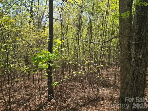 Lot 14 Back Hollow DR, Lake Lure, NC 28746