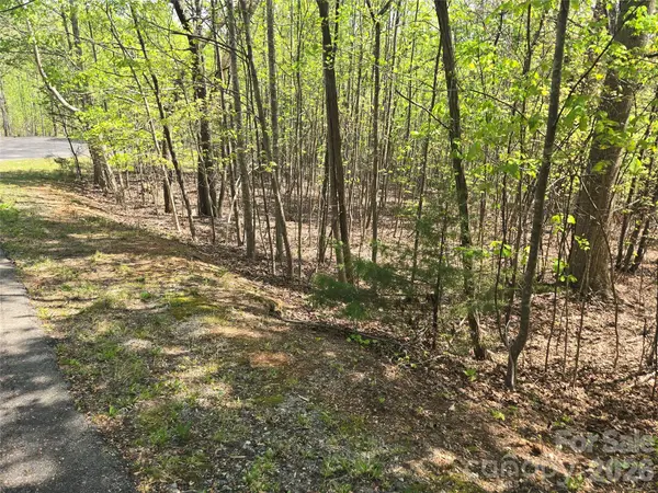 Lot 14 Back Hollow DR, Lake Lure, NC 28746