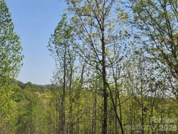 Lot 20 Touch Me Not TRL, Lake Lure, NC 28746
