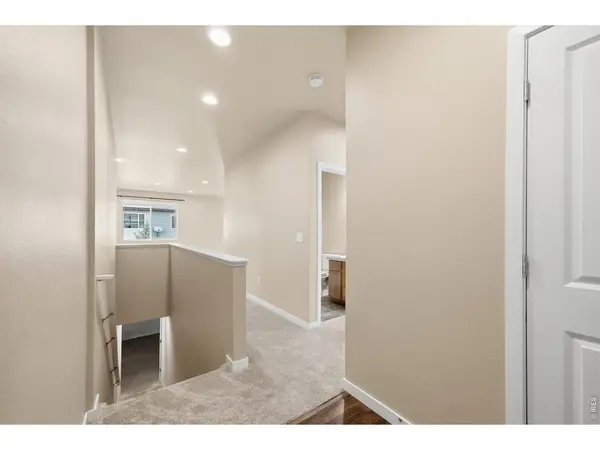 3858 Eucalyptus, Wellington, CO 80549