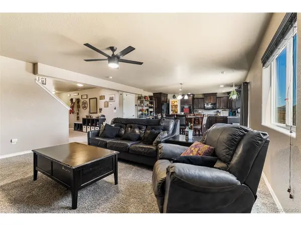 3893 Winter Sun, Colorado Springs, CO 80925