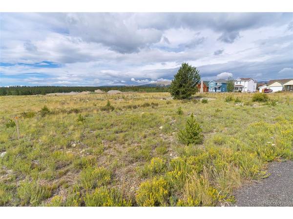 1 Platte, Fairplay, CO 80440