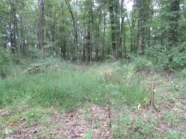 Bull RD, Rock Tavern, NY 12575