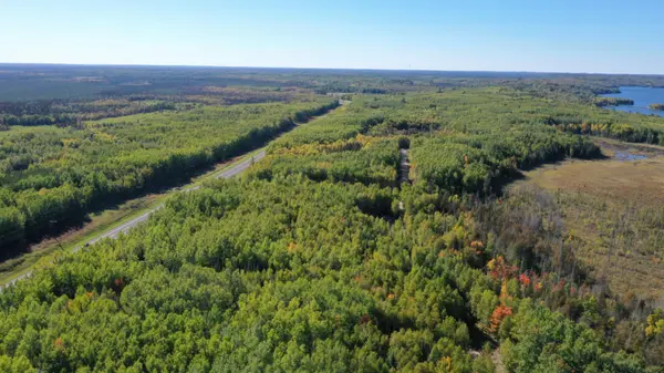 TBD Parcel 6 Hwy 115, Tower, MN 55790