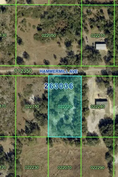 HAMMERMILL AVE, Lake Wales, FL 33859