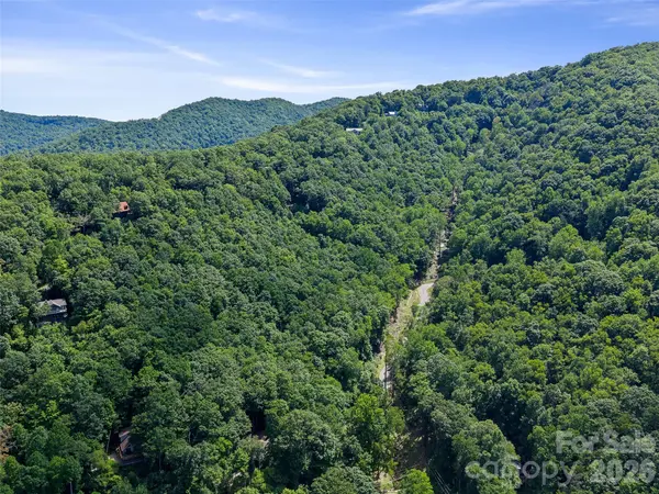 000 Big Ridge RD #110, 111, 113, Burnsville, NC 28714