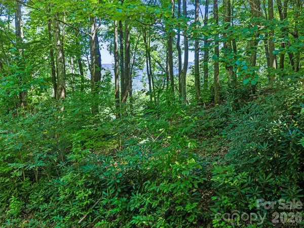 0 Big Ridge RD #31, Burnsville, NC 28714