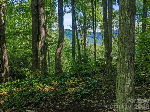 0 Big Ridge RD #31, Burnsville, NC 28714