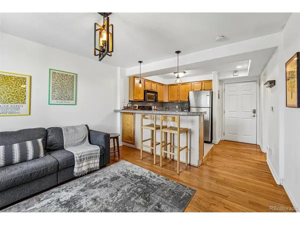 1833 N Williams #504, Denver, CO 80218