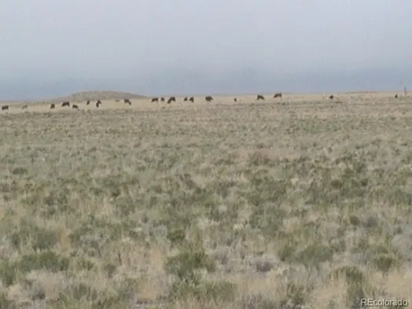 ARRIBA, Blanca, CO 81123