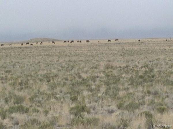 ARRIBA, Blanca, CO 81123