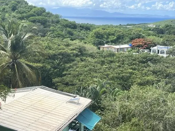 15 BIRD'S NEST STUDIOS, Vieques, PR 00765