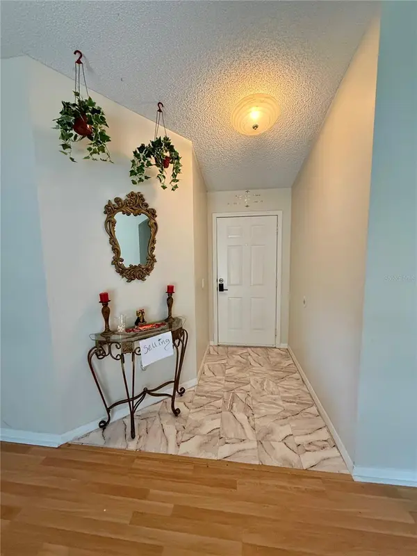 232 STRAWFLOWER CT, Deltona, FL 32725