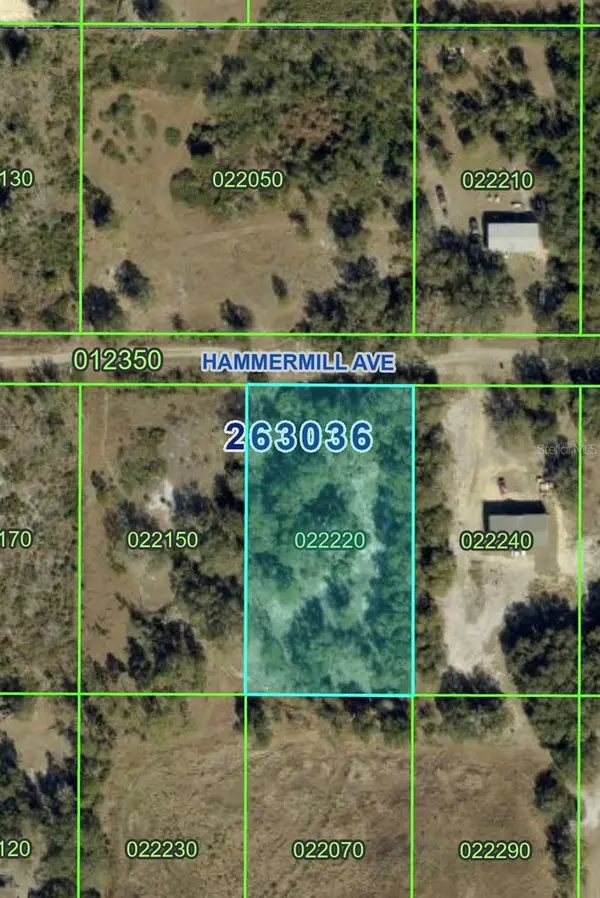 HAMMERMILL AVE, Lake Wales, FL 33859