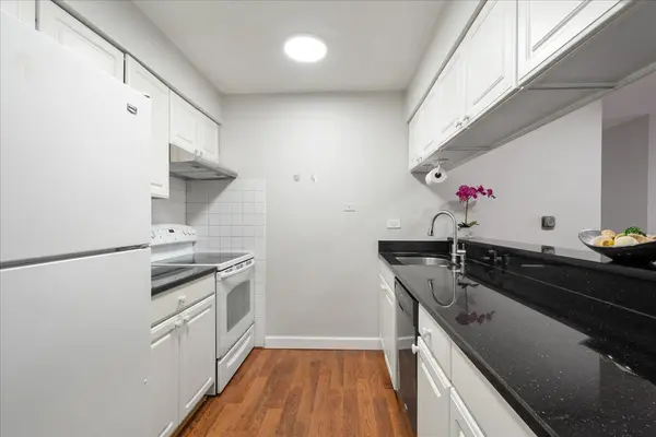 1111 CHURCH ST #305, Evanston, IL 60201