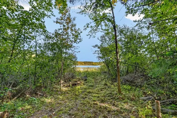 29260 Clearwater RD, Grand Rapids, MN 55744